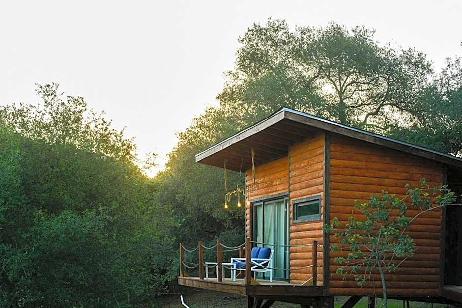 Boskenvid Hotel - Romantic Treehouses & Skypool