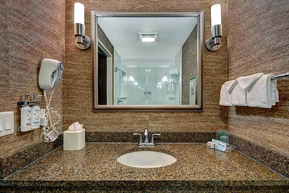 Holiday Inn Detroit Metro Airport By IHG