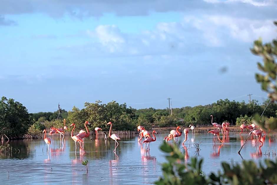 Hospedaje Wotoch Aayin