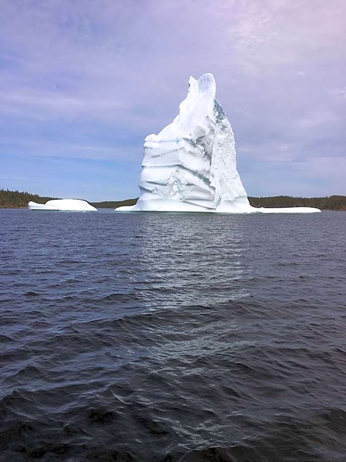 Toulinguet Inn - Suites