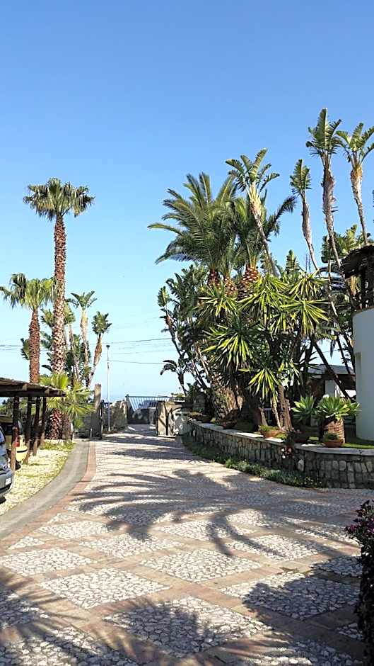 Paco Residence Apartments