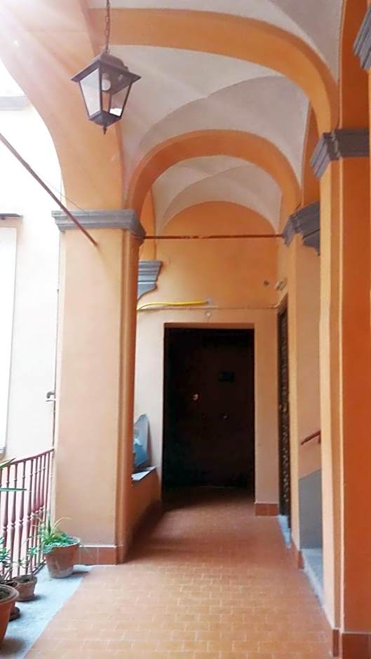 Domusrealstella