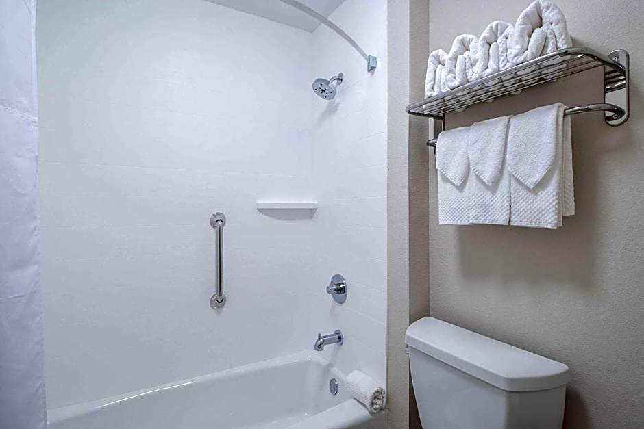 Econo Lodge Inn & Suites Foley-North Gulf Shores