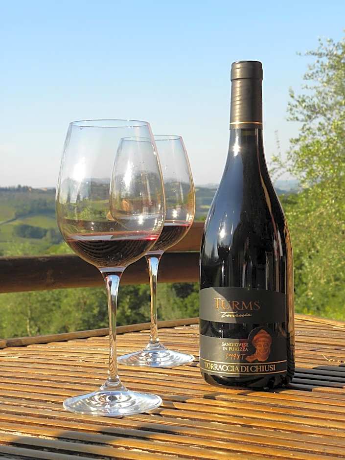 Torraccia di Chiusi Agriturismo Relais