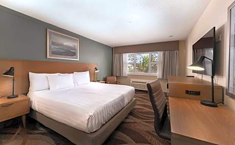 King Room with Sofa Bed - Pet-Friendly/Non-Smoking