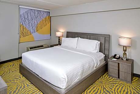 Standard King Room with Mobility Accessible Tub