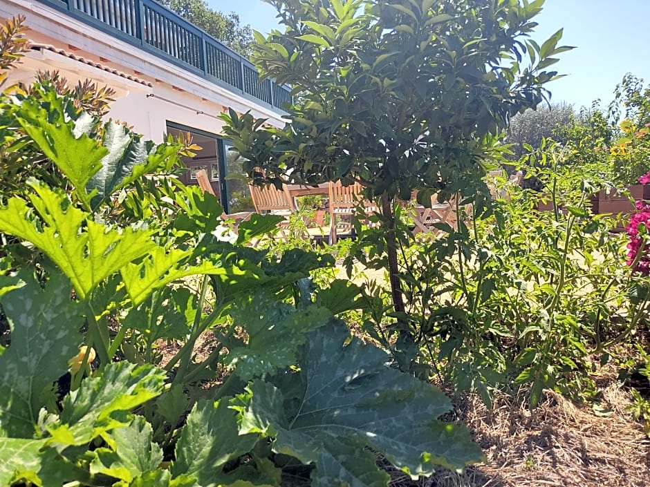 LES JARDINS CELESTES