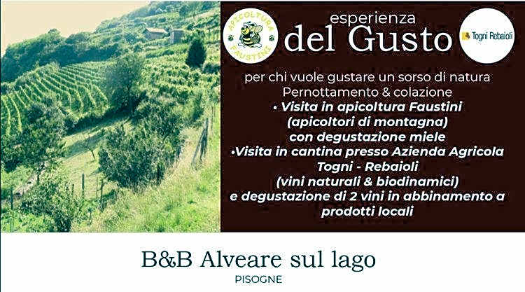 Agriturismo Alveare sul lago