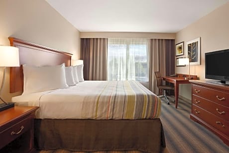 King Bed-1 Bedroom Suite-Sofabed-Non Smoking