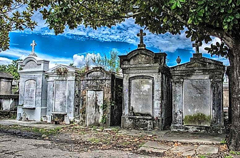 The Prytania Oaks