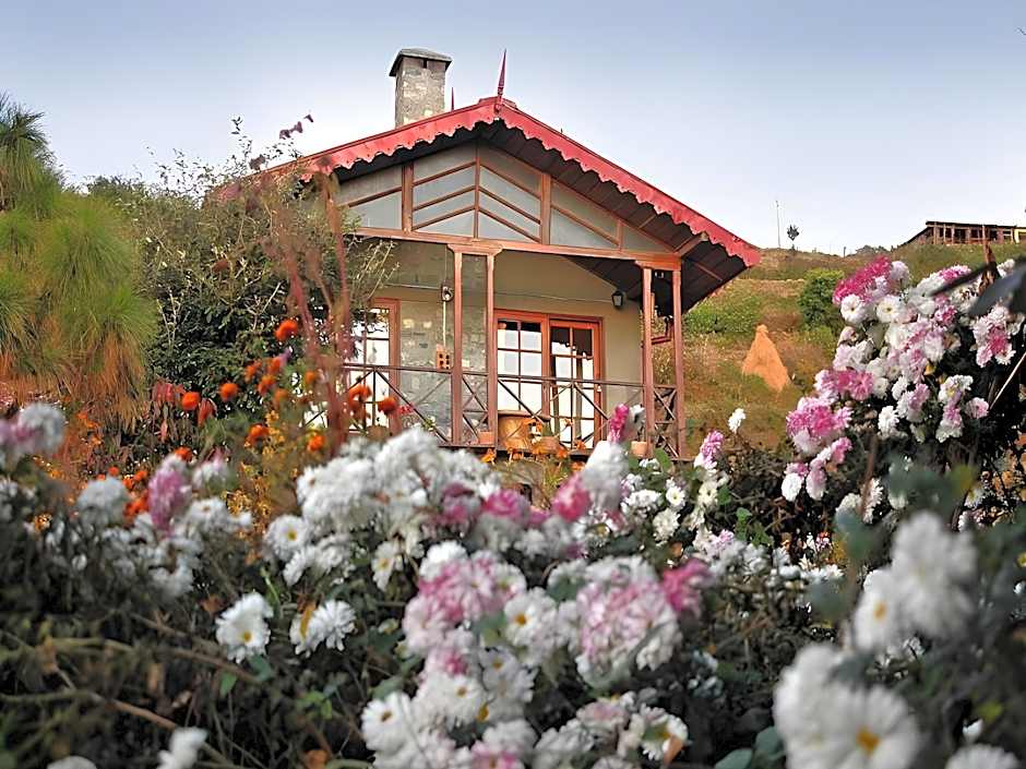 Jungle Lore Birding Lodge