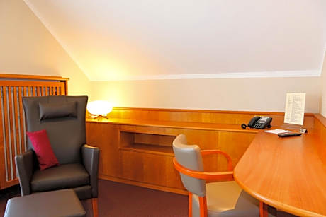Large Comfort Plus Double Room with Air-Conditioning