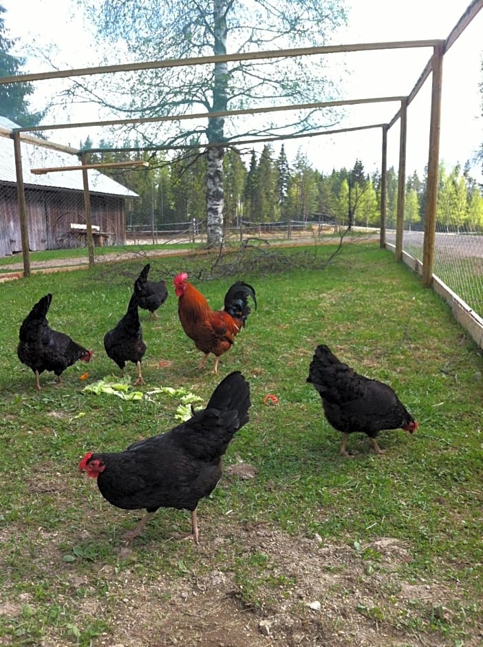 Purola Farm Guesthouse