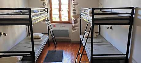Bunk Bed in Mixed Dormitory Room