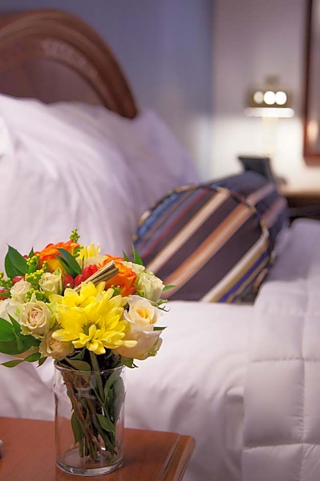 Federal City Inn & Suites