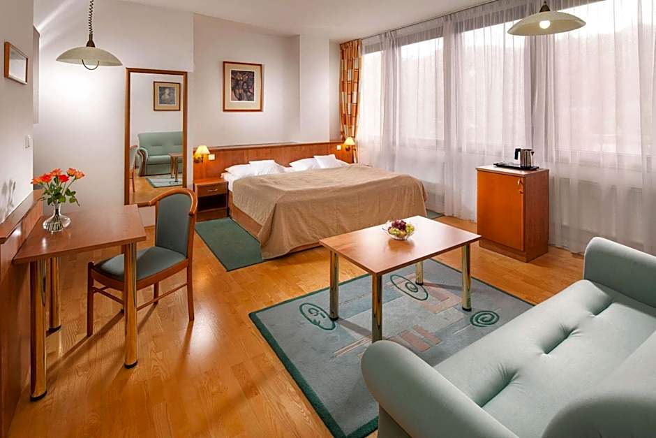 Comfort Hotel Ústí nad Labem City