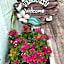 D Heart Homestay