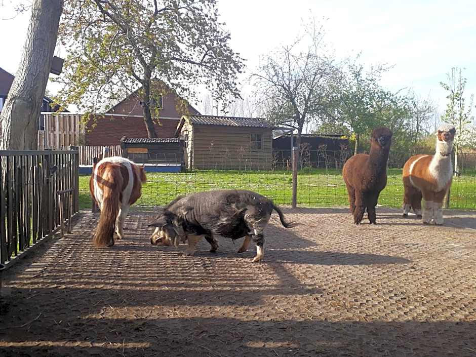 Best Boerderij B&B