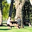 Tasman Holiday Parks - Lake Mulwala