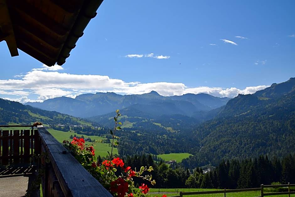 Gasthof Hotel IFENBLICK