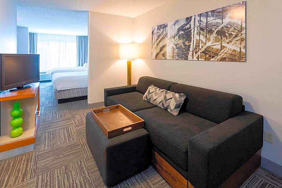 SpringHill Suites by Marriott Rochester Mayo Clinic Area/Saint Marys