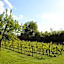 La Vigneraie de Laura