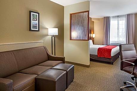 1 King Bed, Suite, Nonsmoking