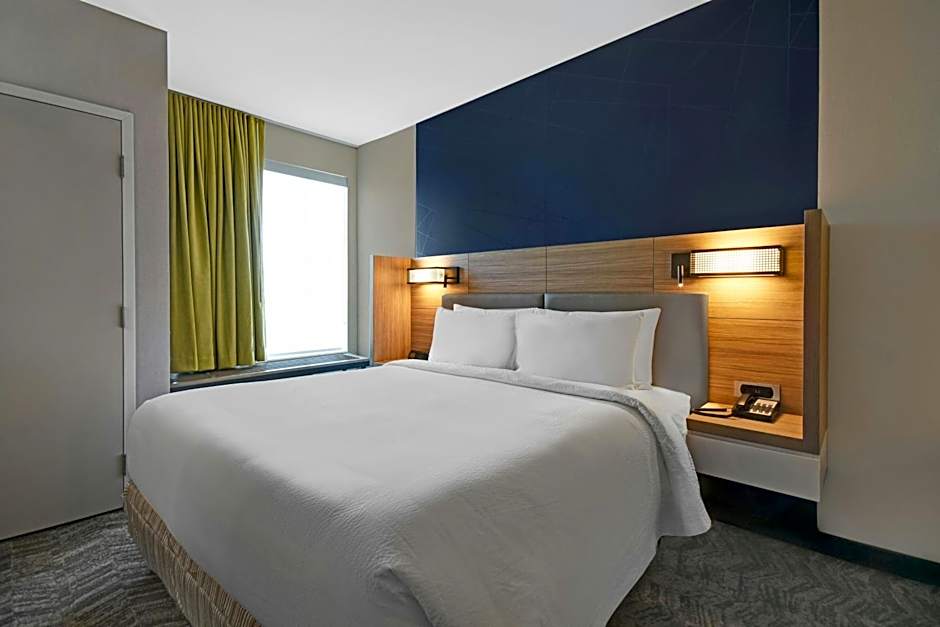 Springhill Suites by Marriott St. Paul Arden Hills