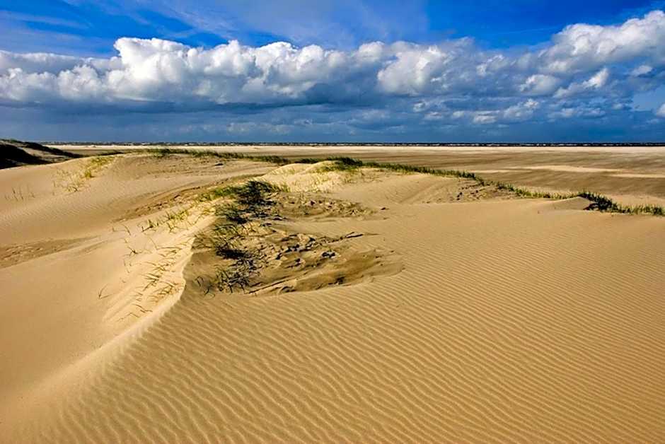 Ara Dune Hotel