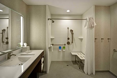 1King Accessible Roll In Shower Suite Nonsmok