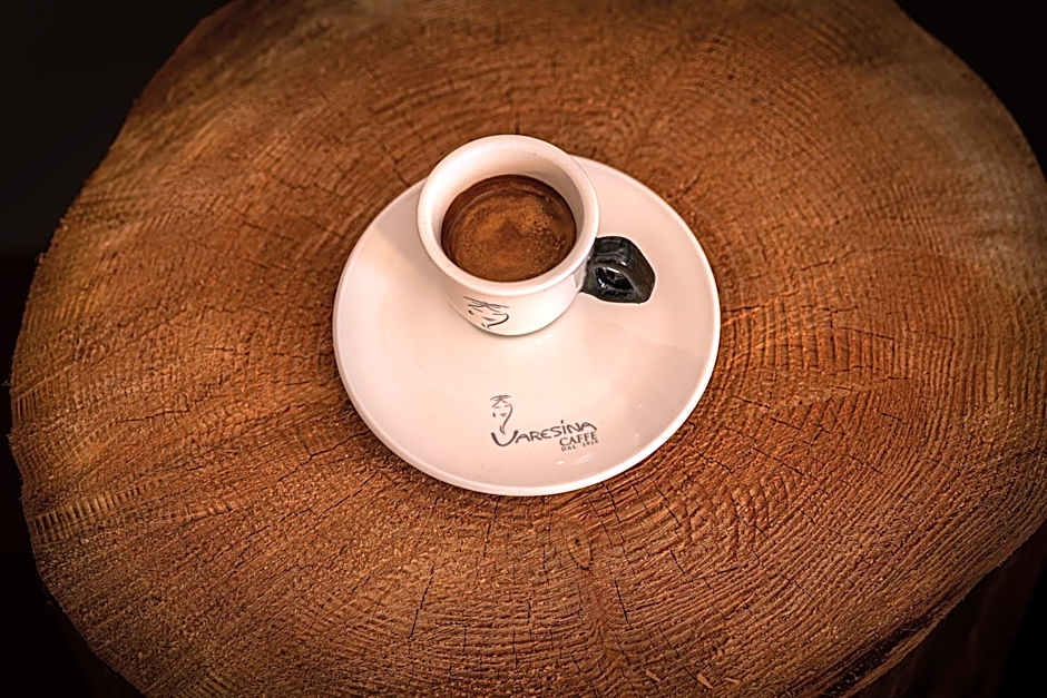 Hotel i Restauracja Czarny Kos