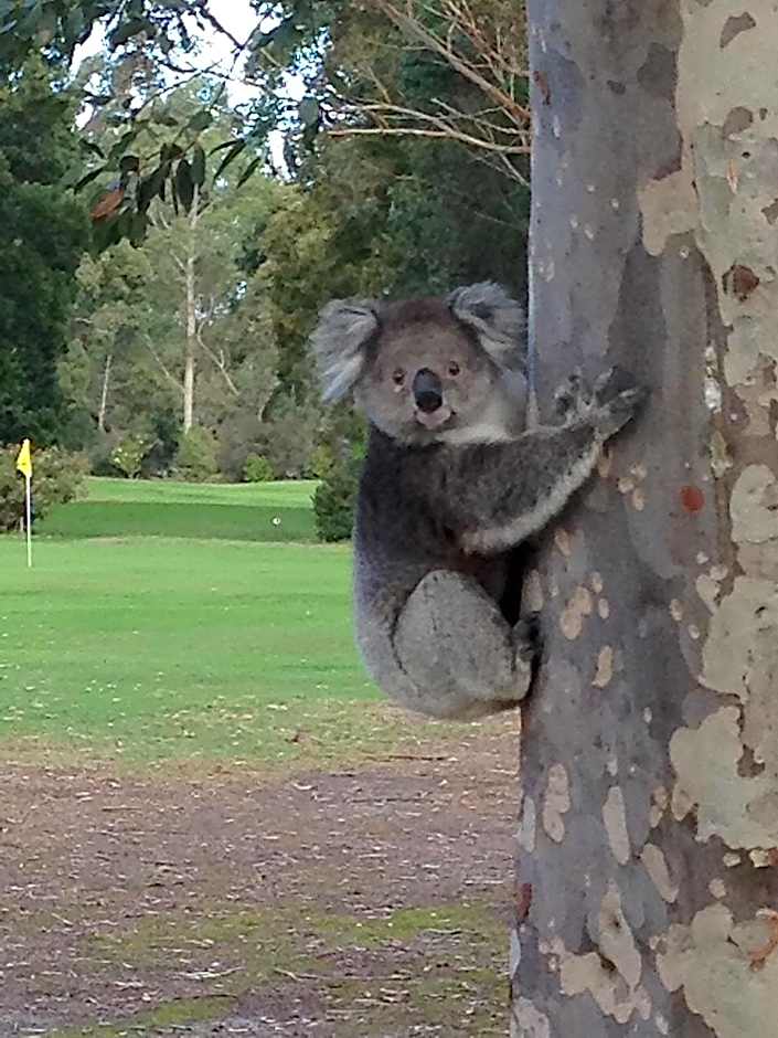 Llarrinda Bed & Breakfast