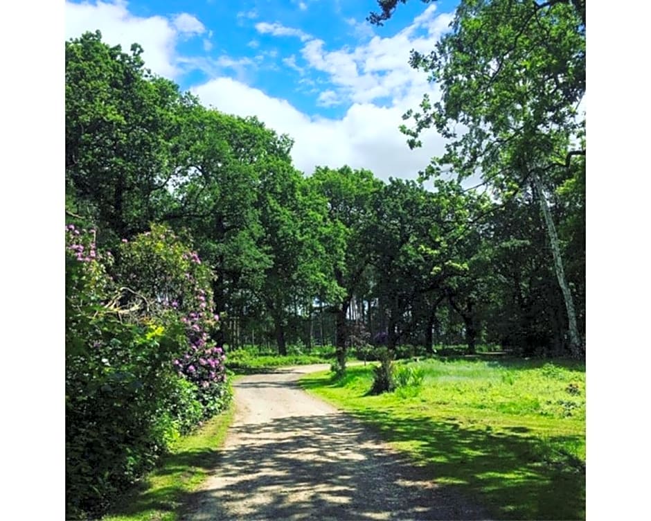 Hollicarrs - Woodland Lodge