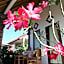 Bukit Indah Homestay