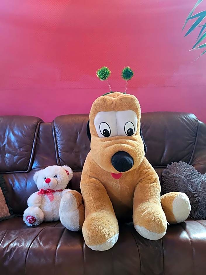 Apartamenty i pokoje gościnne Nowita