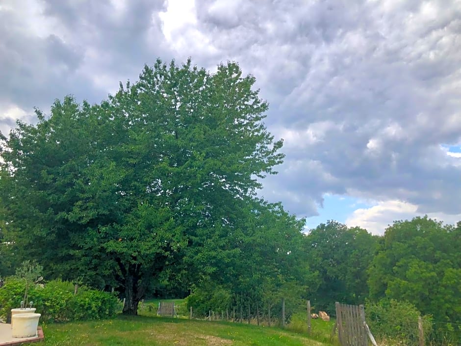 Le Cerisier Saint-Barbant