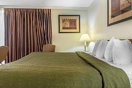 1 Queen Bed Nonsmoking