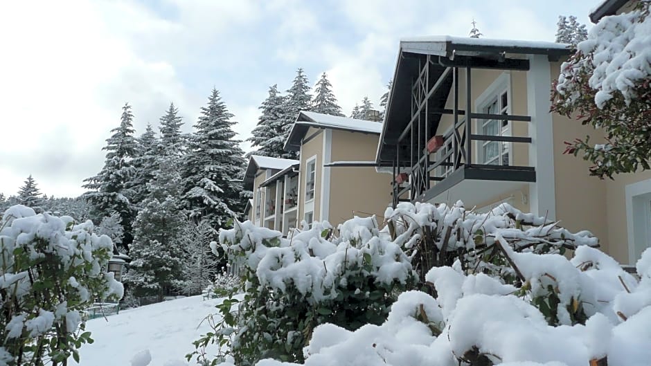 Aldea Andina Hotel&Spa