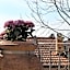 Residence Montefiore
