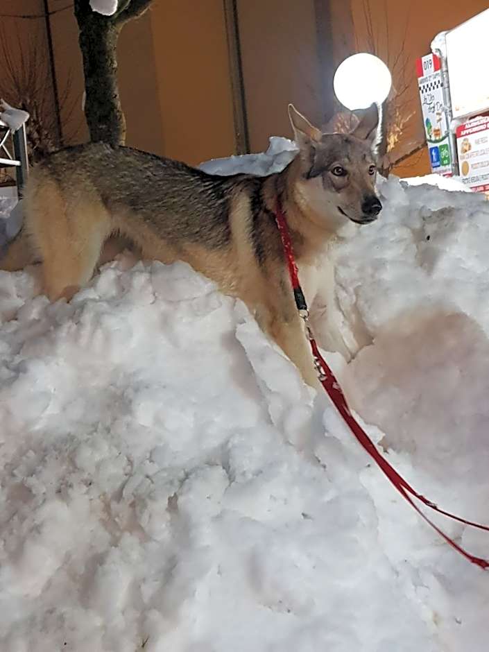 Albergo Ristorante Poli