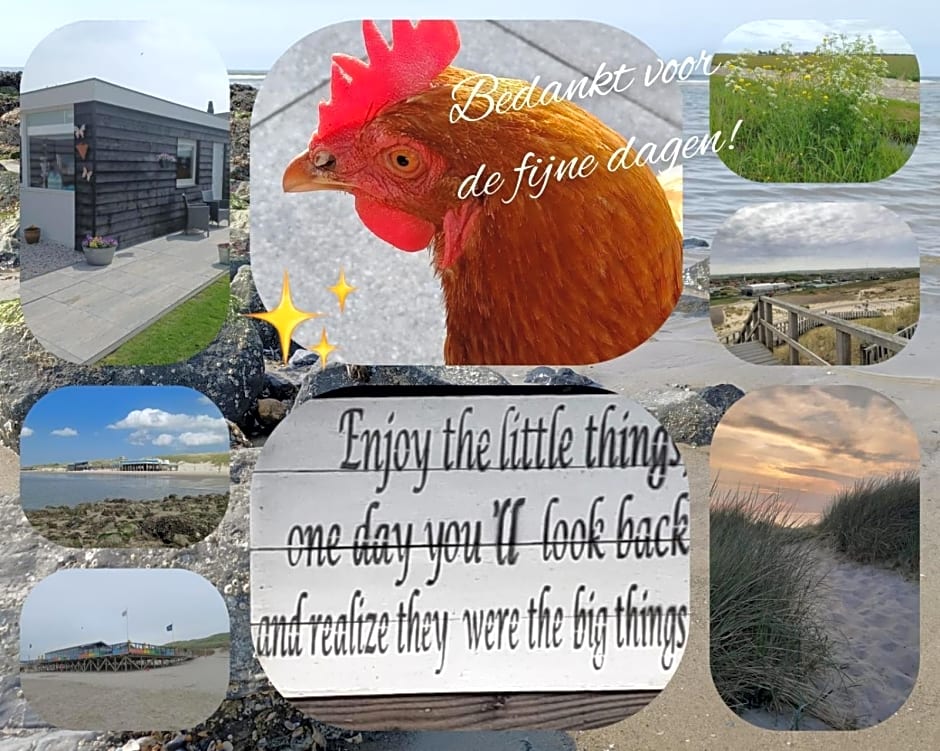 Tuinhuis Duinroos Deluxe