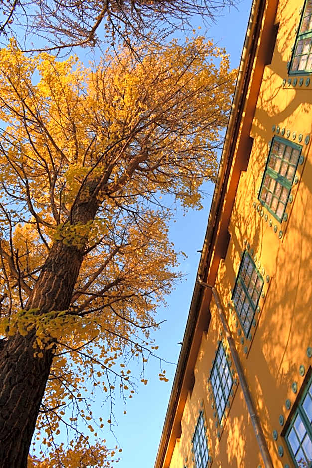 Zsolnay Negyed Vendégháza