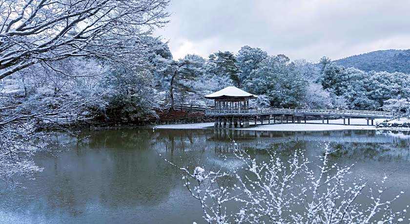 Hotel Nara No Hamori