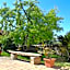 B&B La Rosa dei Trulli Alberobello