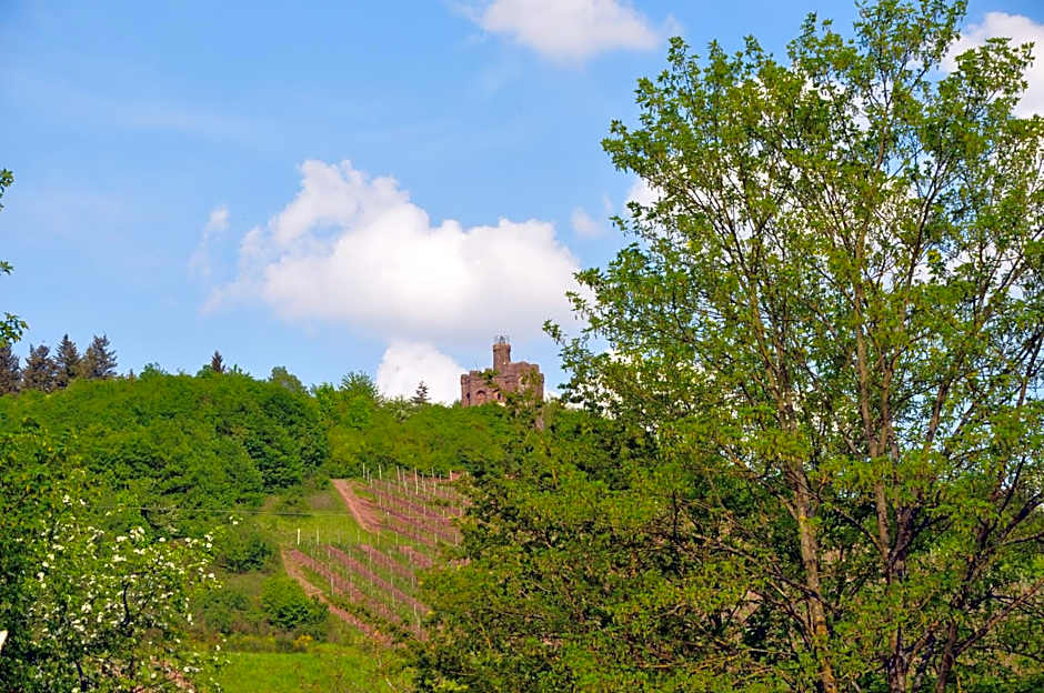 Alembra - Wein Style Hotel