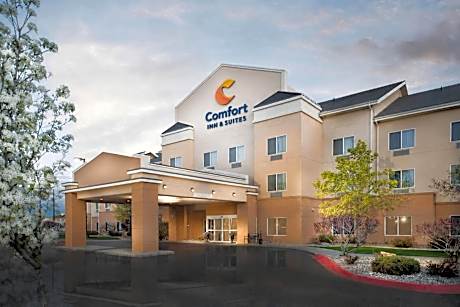 Comfort Inn & Suites Idaho Falls Airport