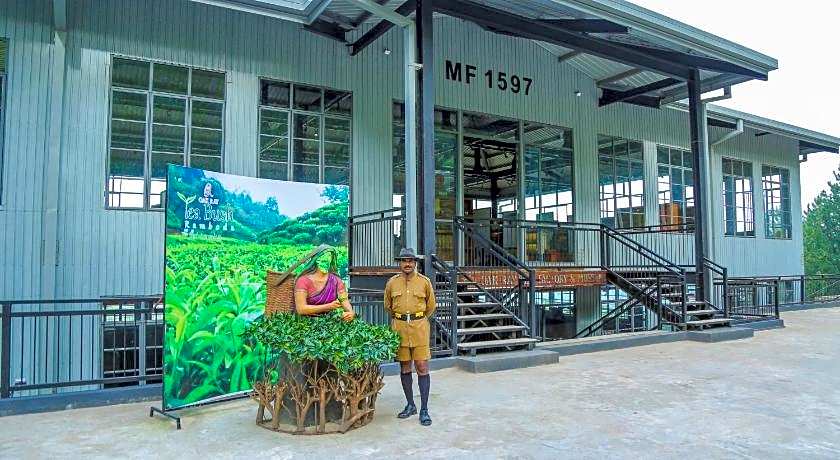 Oak Ray Hotel - Tea Bush Ramboda