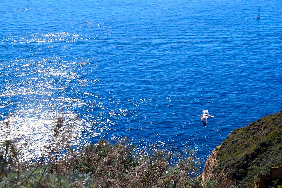 Terra Murata Boutique b&b