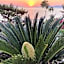 Zakros Hotel Lykia
