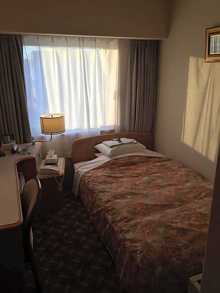 Hotel New Green Plaza